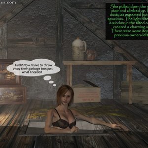 The Attic image 004