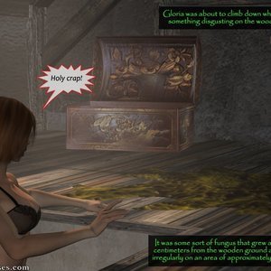 The Attic image 005