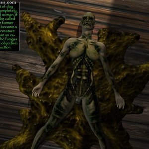 The Attic image 060