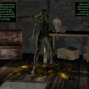 The Attic image 062