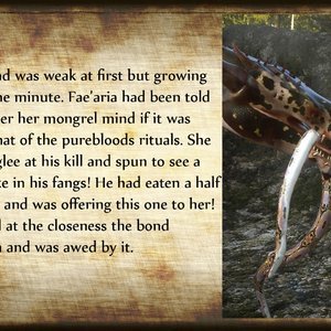 The Chronicles Of Dunragon - Issue 1 image 011