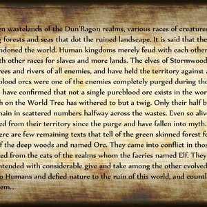 The Chronicles Of Dunragon - Issue 1 image 052