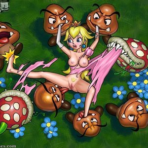 Super Mario Bros image 009