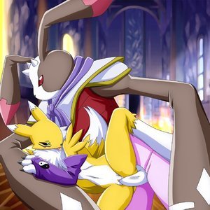 Random pics image 043