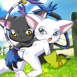 Random pics image 062