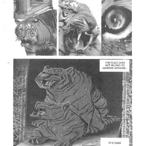 Sizzle 15 image 009