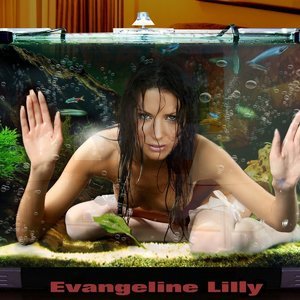Evangeline Lilly image 088