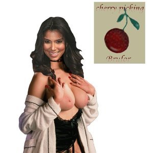 Roselyn_Sanchez_Fakes image 030