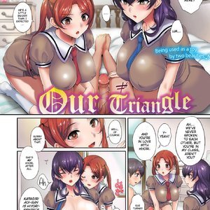 Our Triangle image 002
