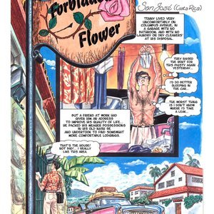 Forbidden Cartoon Porn - Forbidden Flower Ferocius Comics - Cartoon Porn Comics