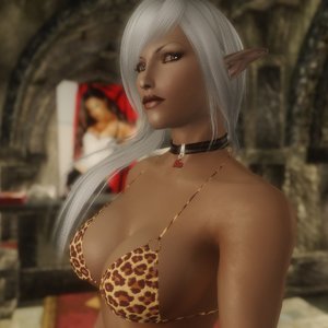 Girls of Skyrim 9 image 041