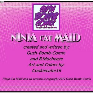 Ninja Cat Maid image 002