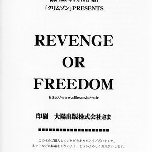 Final Fantasy XII Doujinshi - Revenge or Freedom image 035