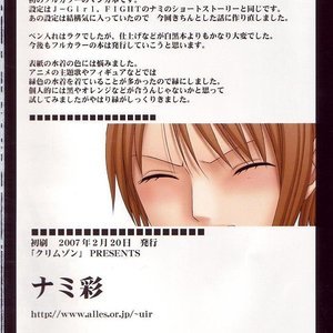 One Piece Doujinshi - Nami Sai image 033