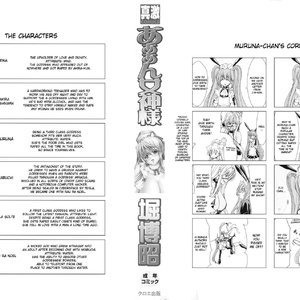 Aaan Megami-sama image 004