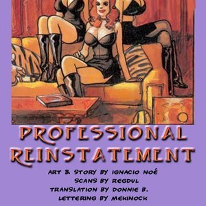 Professional Reinstallment (Ignacio Noe Comics) thumbnail