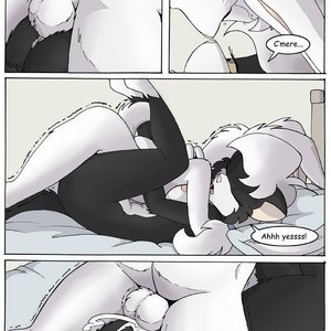 On The  Rebound image 014