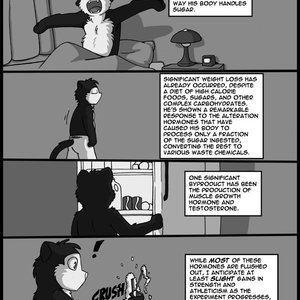 Original Life image 288