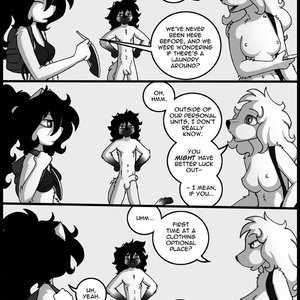 Original Life image 312