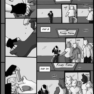 Original Life image 359