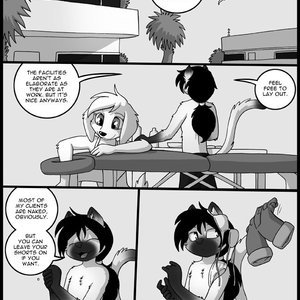 Original Life image 496