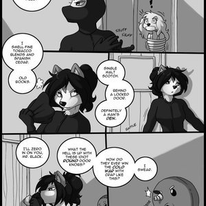 Original Life image 596