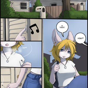 Second Chances image 002