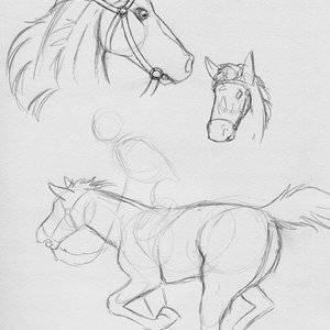 SketchBlog image 154