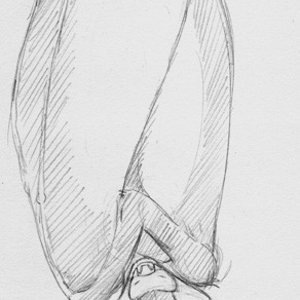 SketchBlog image 338