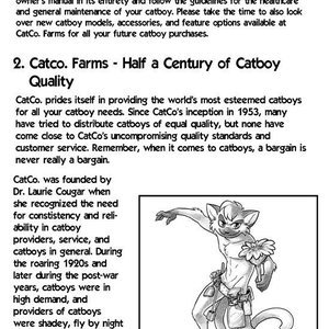 The Catboy Owners Manual image 004