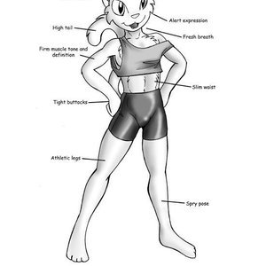 The Catboy Owners Manual image 009