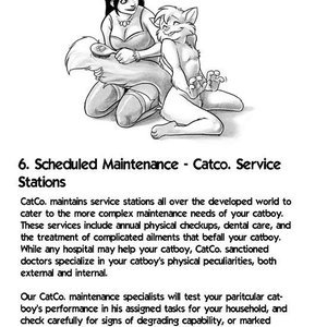 The Catboy Owners Manual image 011