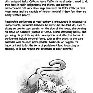 The Catboy Owners Manual image 013