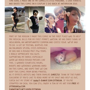 My Pet Ferret Girl image 013