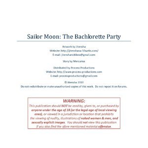 Sailor Moon - The Bachelorette Party image 002
