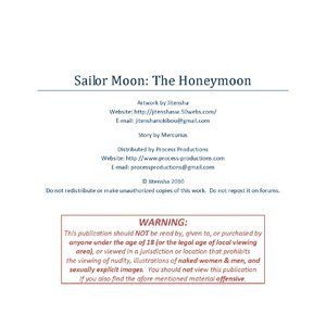 Sailor Moon - The Honeymoon image 002