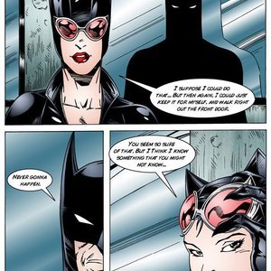 Batman Interrogates Catwoman image 008