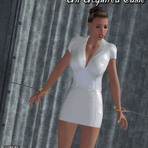 Covers image 004