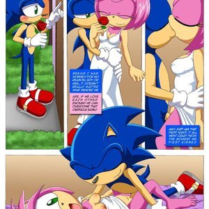 Sonic and Amy with a TWIST image 022