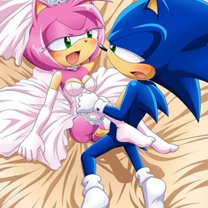 Sonic and Amy with a TWIST image 026