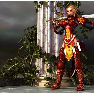 WarCraft Paladin - Demon Hunter image 002