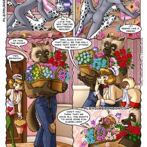 08 The guest image 009