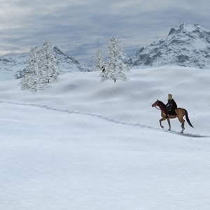 Snowland image 002