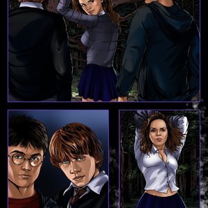 Harry Potter Cartoon Porn - Harry Potter (SinFulComics Collection) - Cartoon Porn Comics