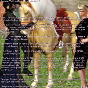 Metamorphosis image 224