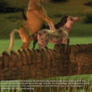 Metamorphosis image 258