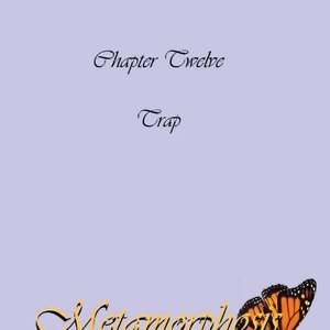 Metamorphosis image 261