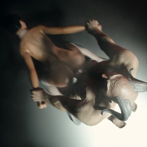 White Swan Black Soul image 020
