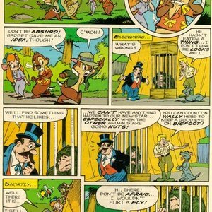 Chip n Dale Rescue Rangers 11 image 023