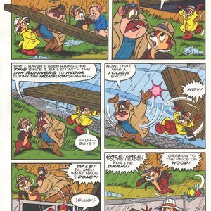 Chip n Dale Rescue Rangers 13 image 005